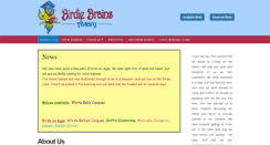 Desktop Screenshot of birdiebrainsaviary.com